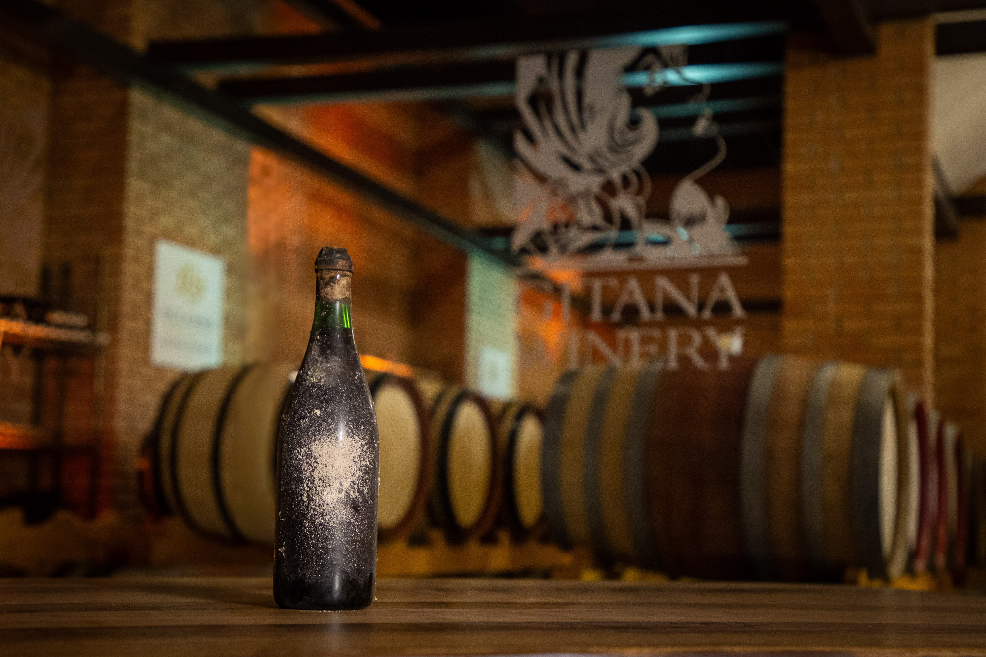 Gitana Winery vineyard
