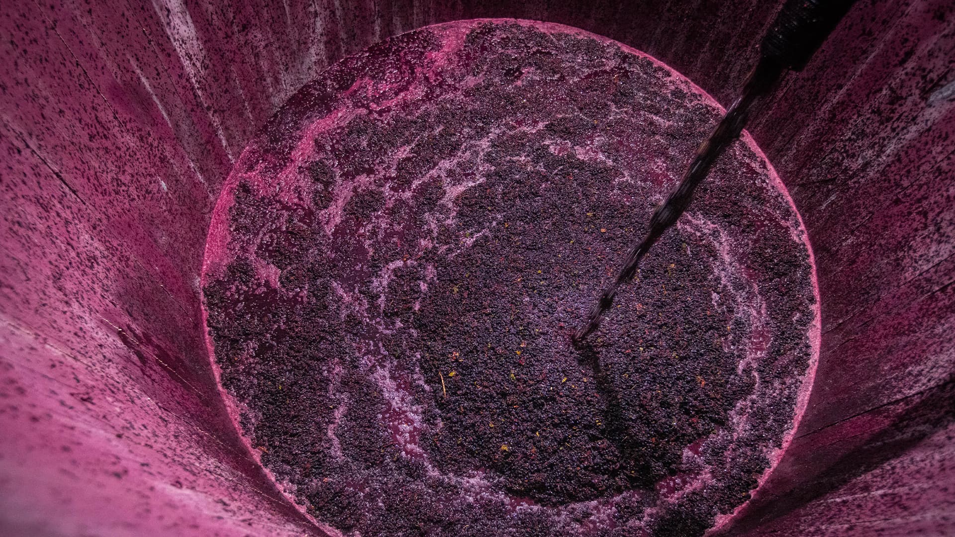 Gitana Winery winemaking