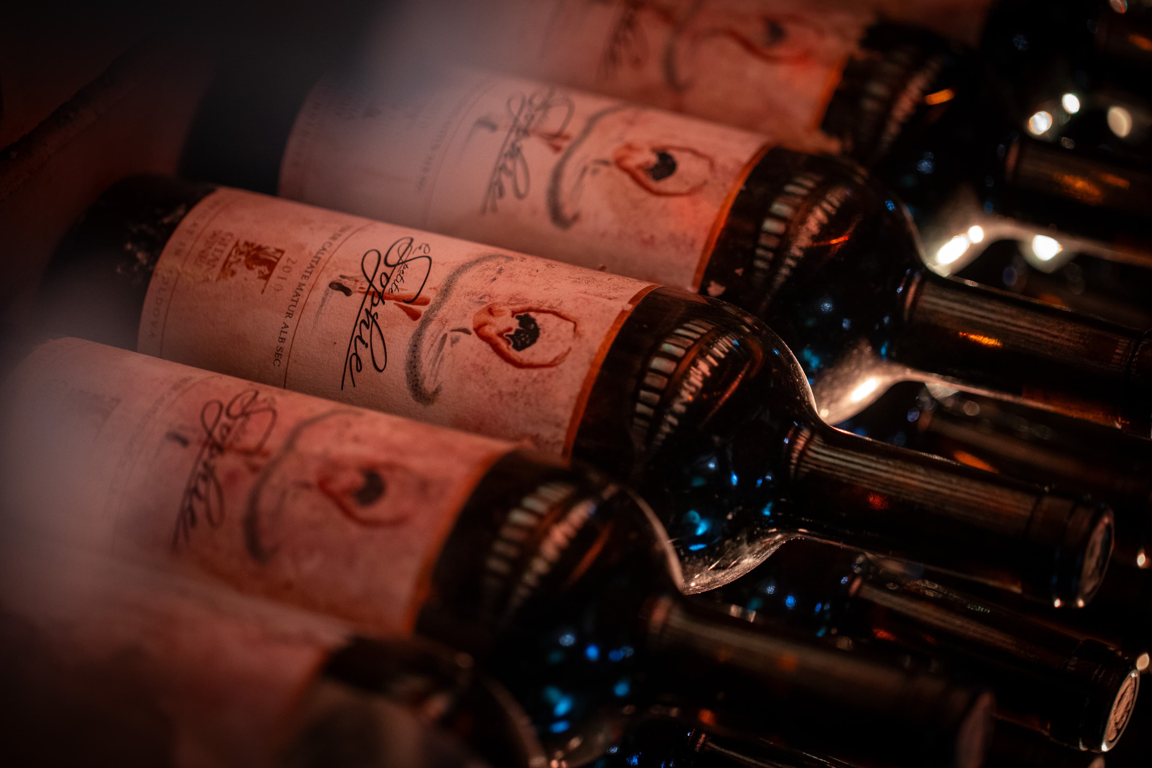 Gitana Winery Vintage Collection