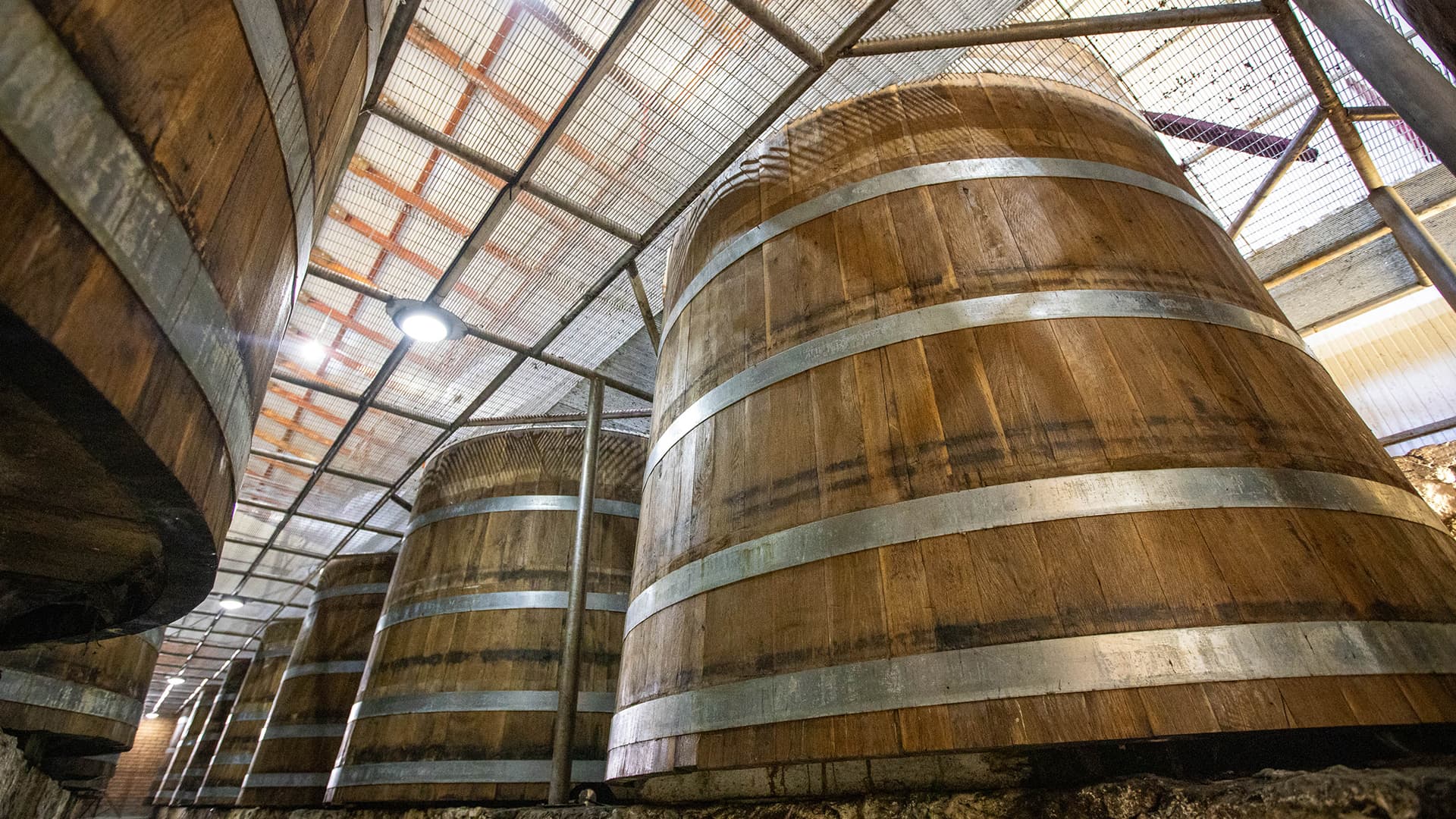Maturation in Large Oak Vats