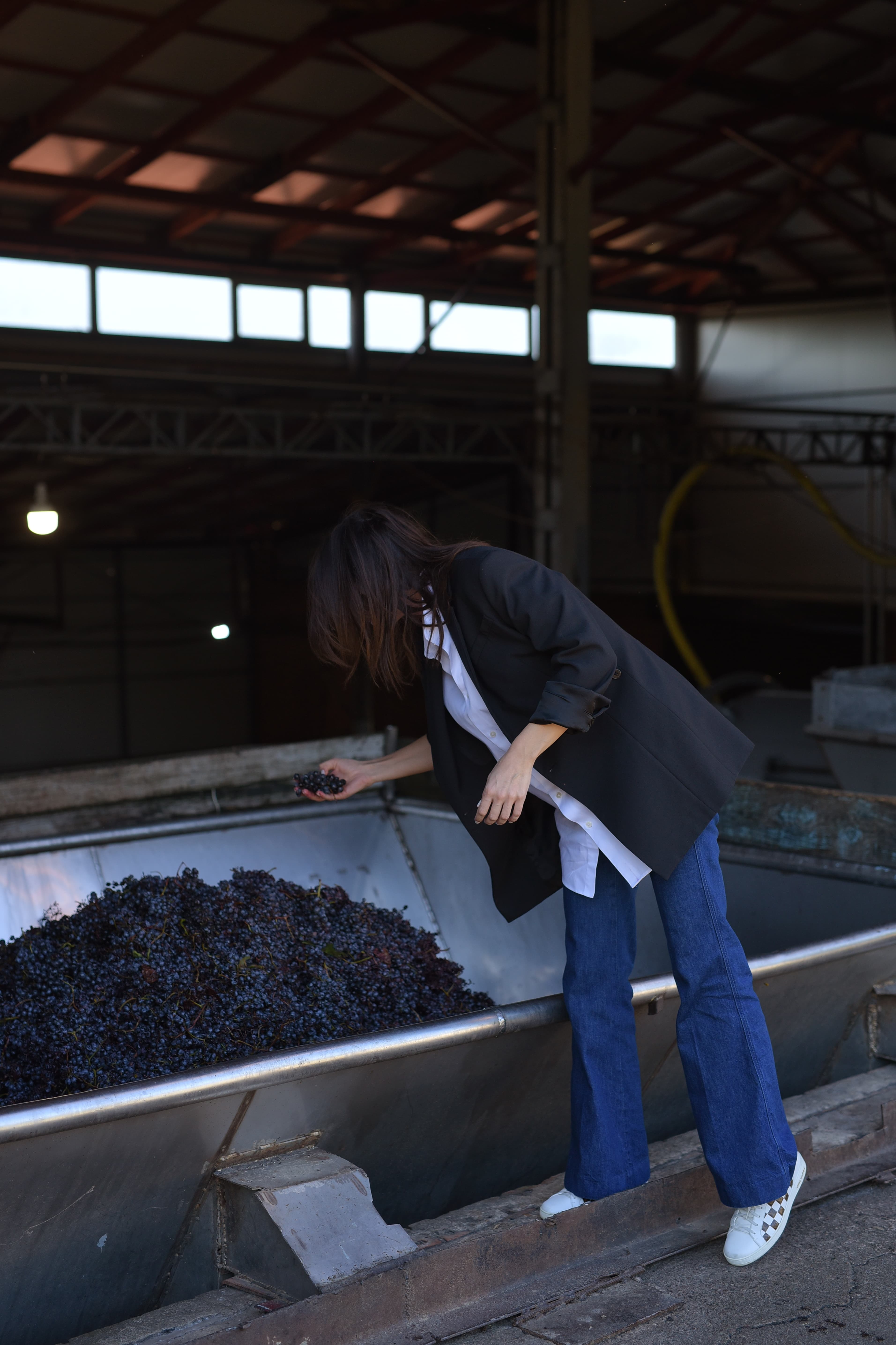 Tradition and Innovation at Gitana Winery