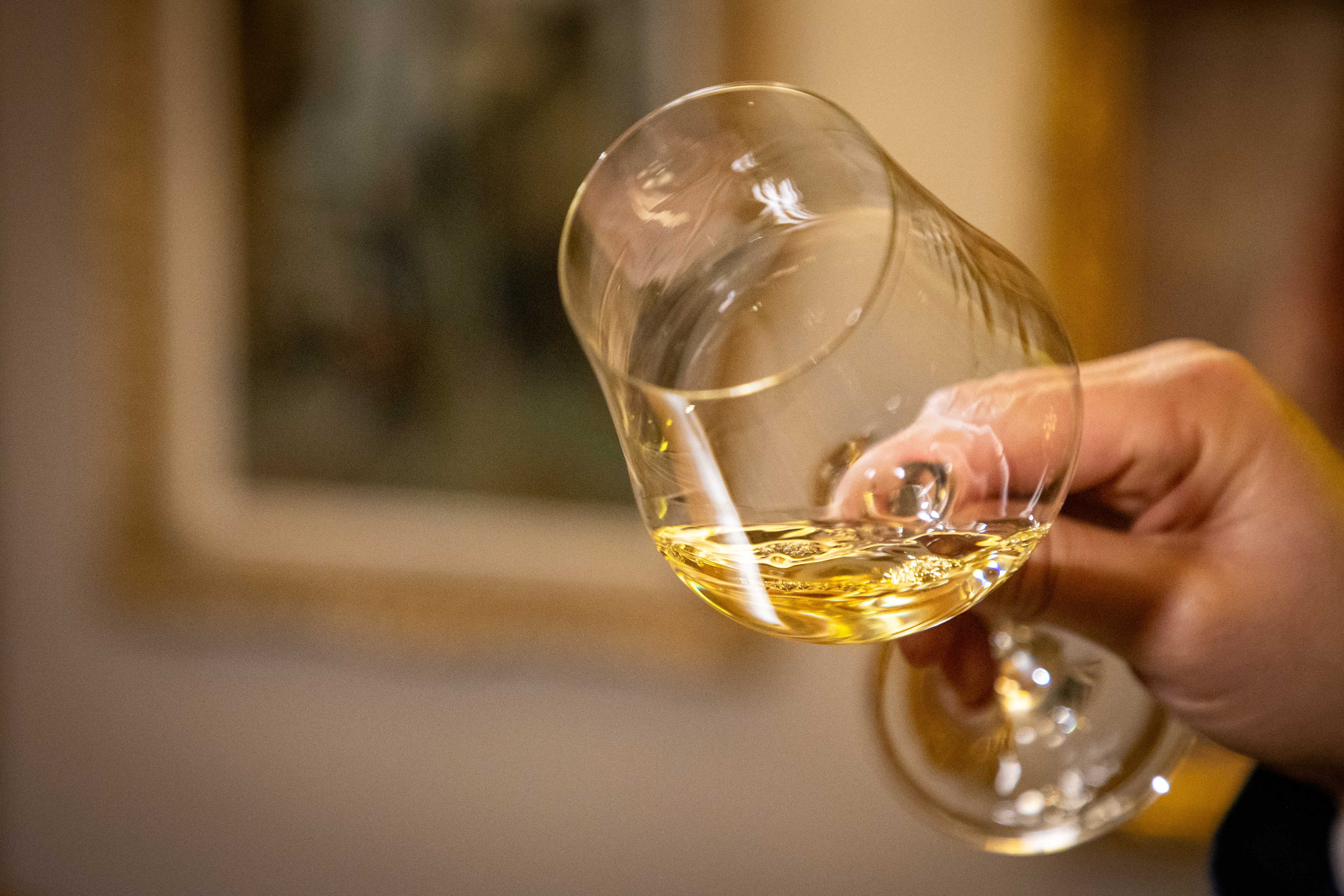 White Wine Extraction and Fermentation Process