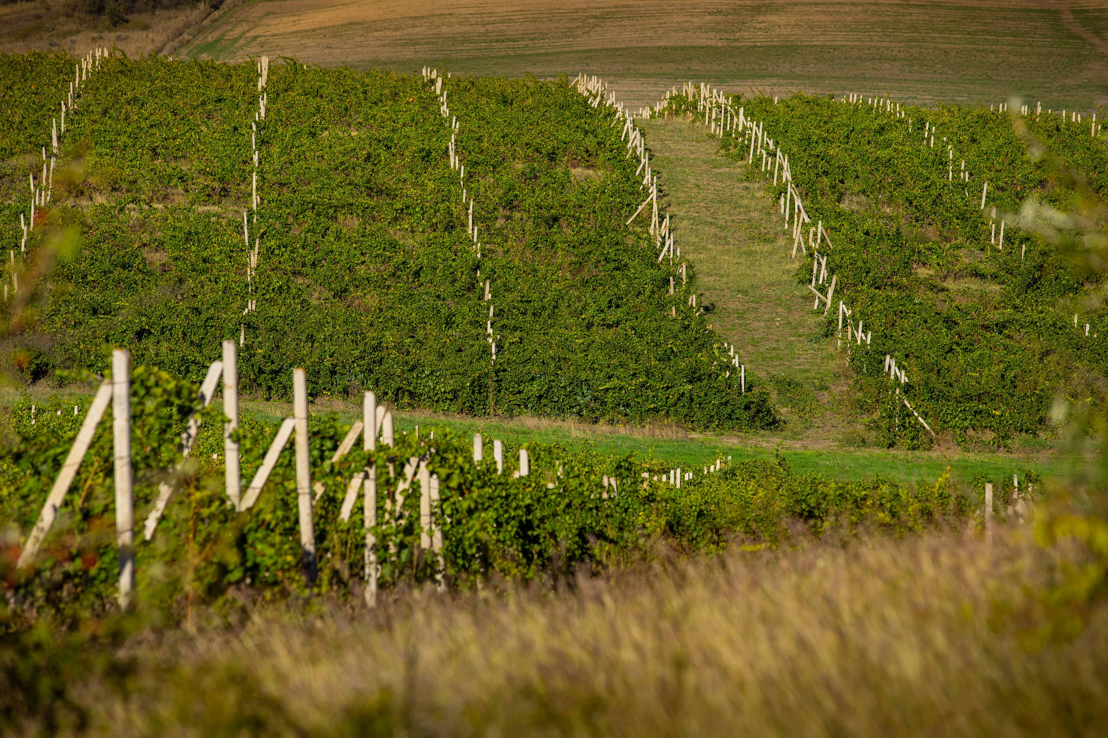 Relief, Slopes and Solar Exposure