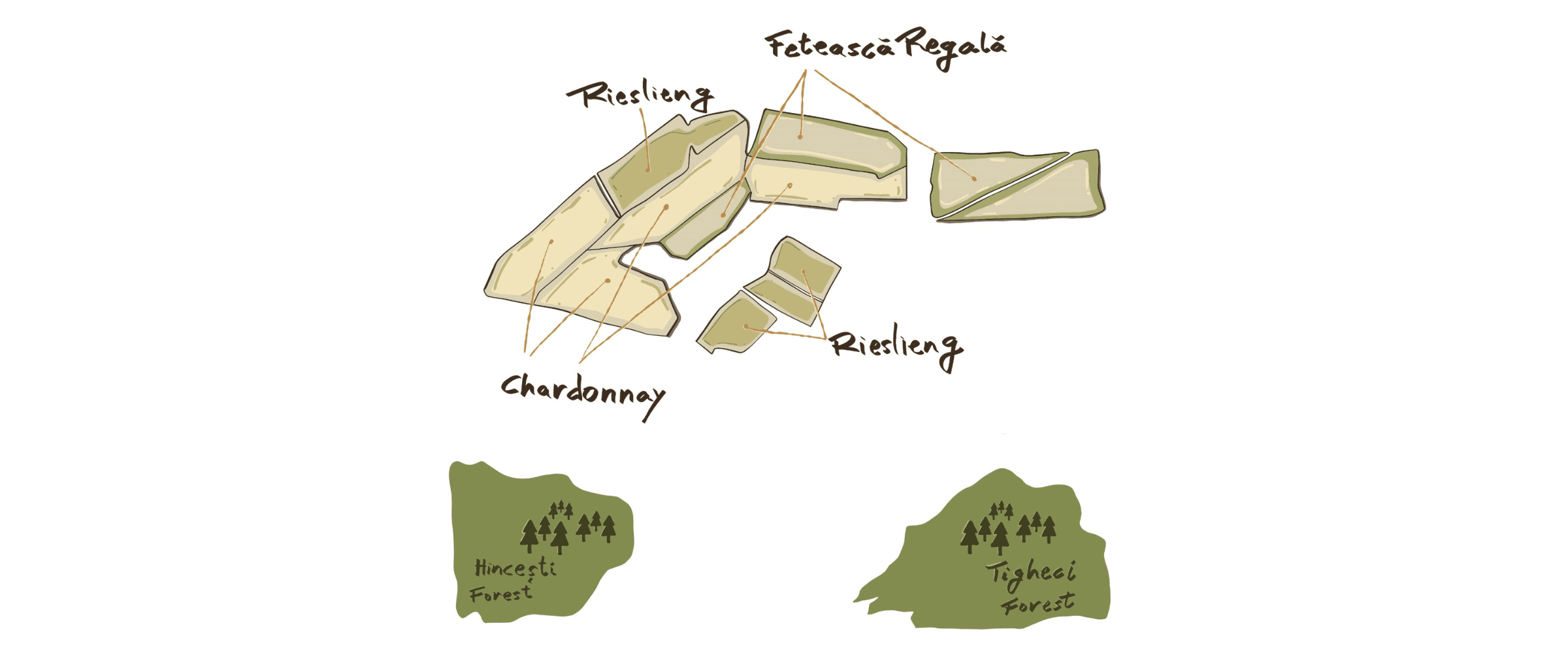 Romanovca 1
