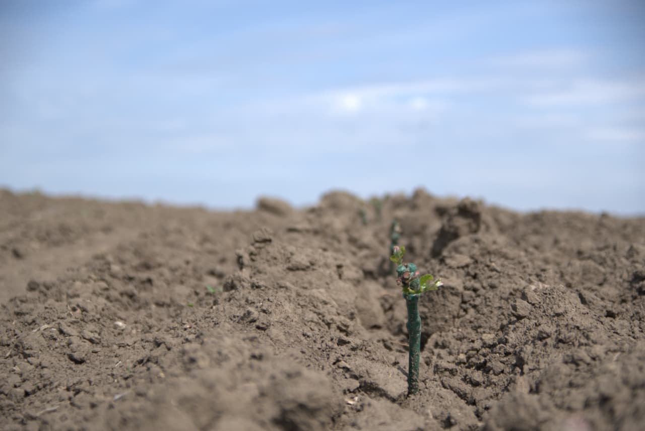 Soil Composition: The Basis of Typology